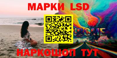 амф Новодвинск