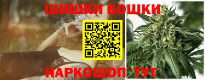 амф Новодвинск