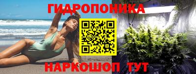 амф Новодвинск