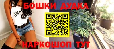 прущие крисы Новокубанск