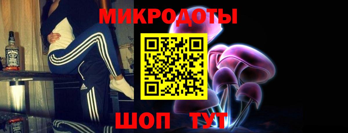 Псилоцибиновые грибы Psilocybe Кисловодск